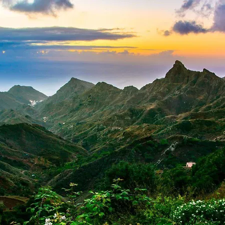 Mar & Teide Apartamento Sauzal